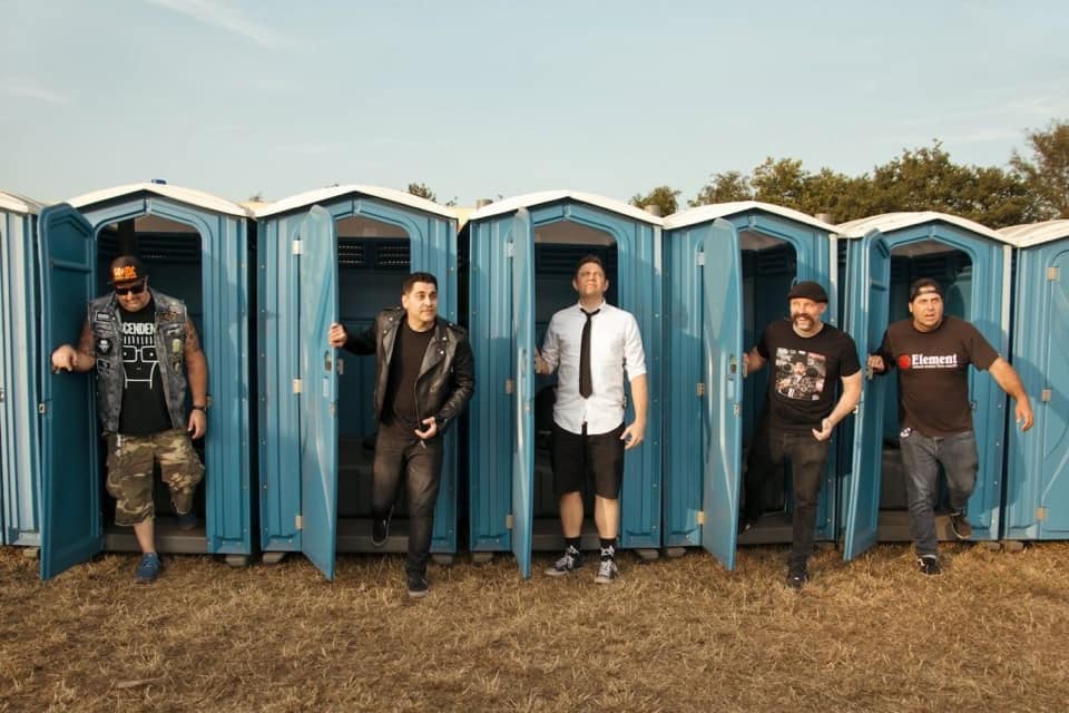 zebrahead