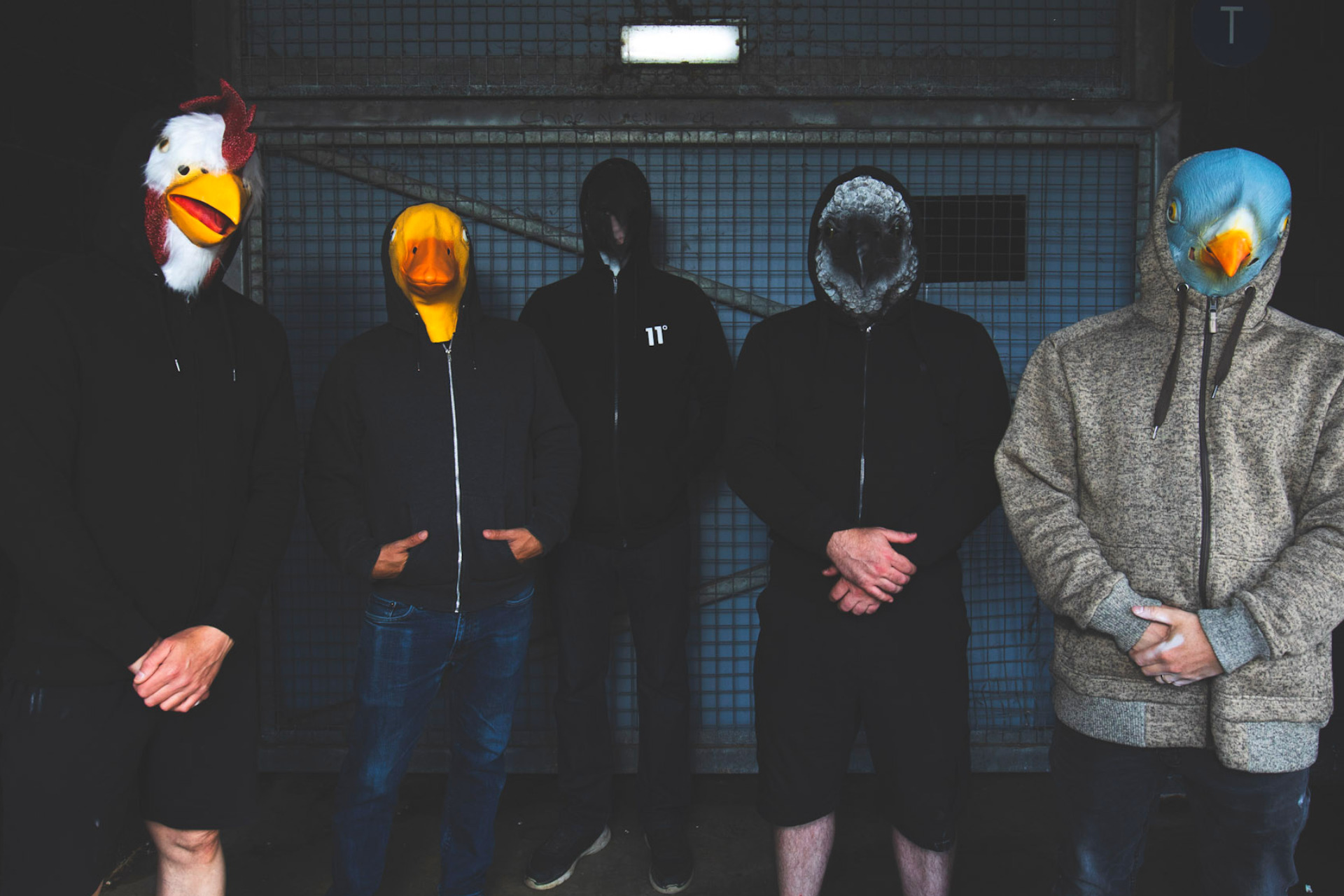 Shaven Primates – Birds Aren’t Real EP