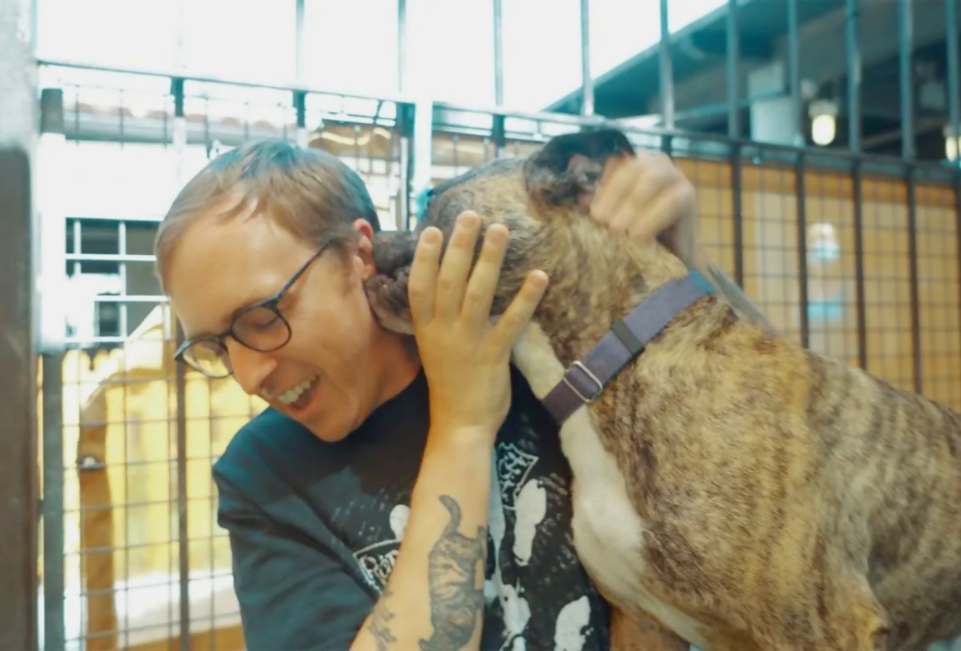 Joyce Manor promueve la adopción de mascotas en su nuevo video del sencillo “Did You Ever Know?”